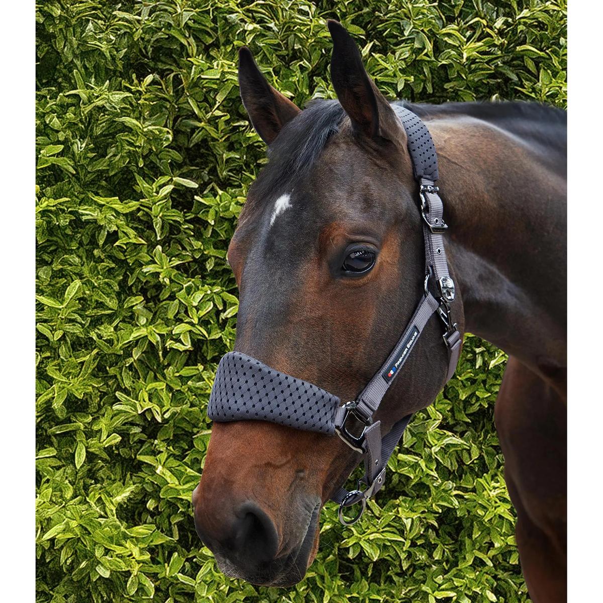 product/p/r/premier-equine_6152cgry_grey_6.jpg