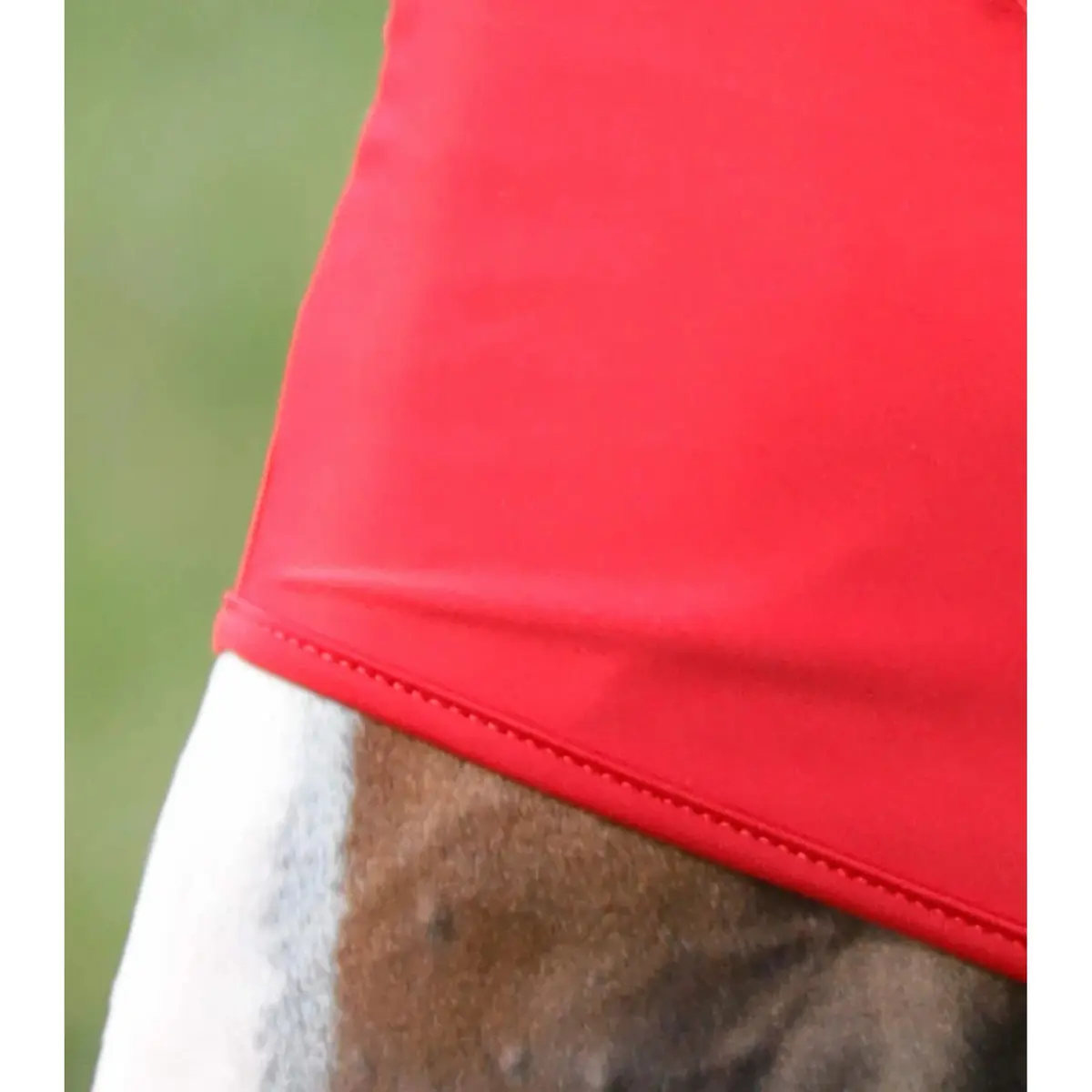 product/p/r/premier-equine_6300sr_3.jpg