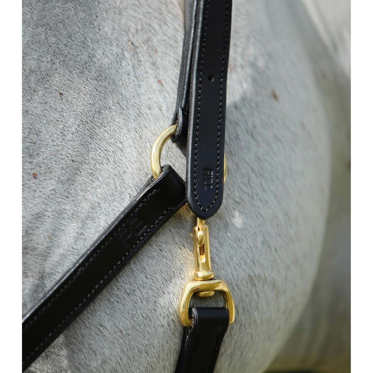 product/p/r/premier-equine_8000cblk_black_3.jpg