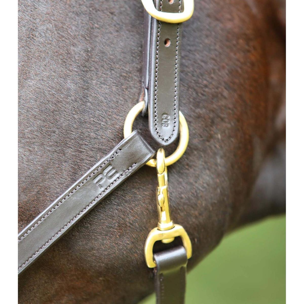 product/p/r/premier-equine_8000cbrw_brown_3.jpg