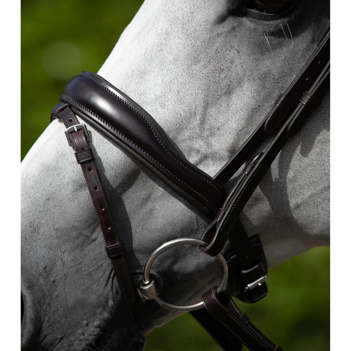 product/p/r/premier-equine_8009pbrw_2.jpg