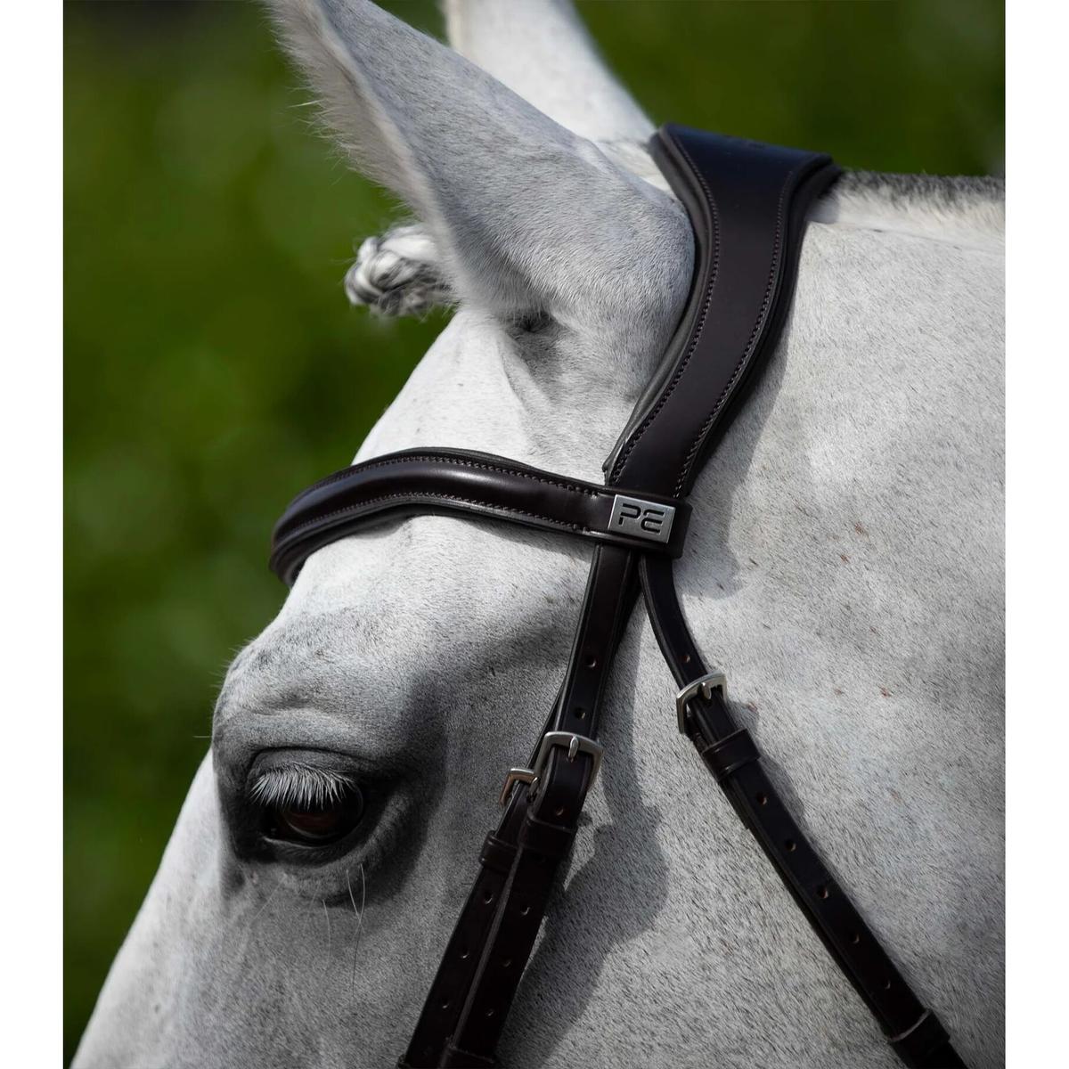 product/p/r/premier-equine_8018-cbrw_4.jpg