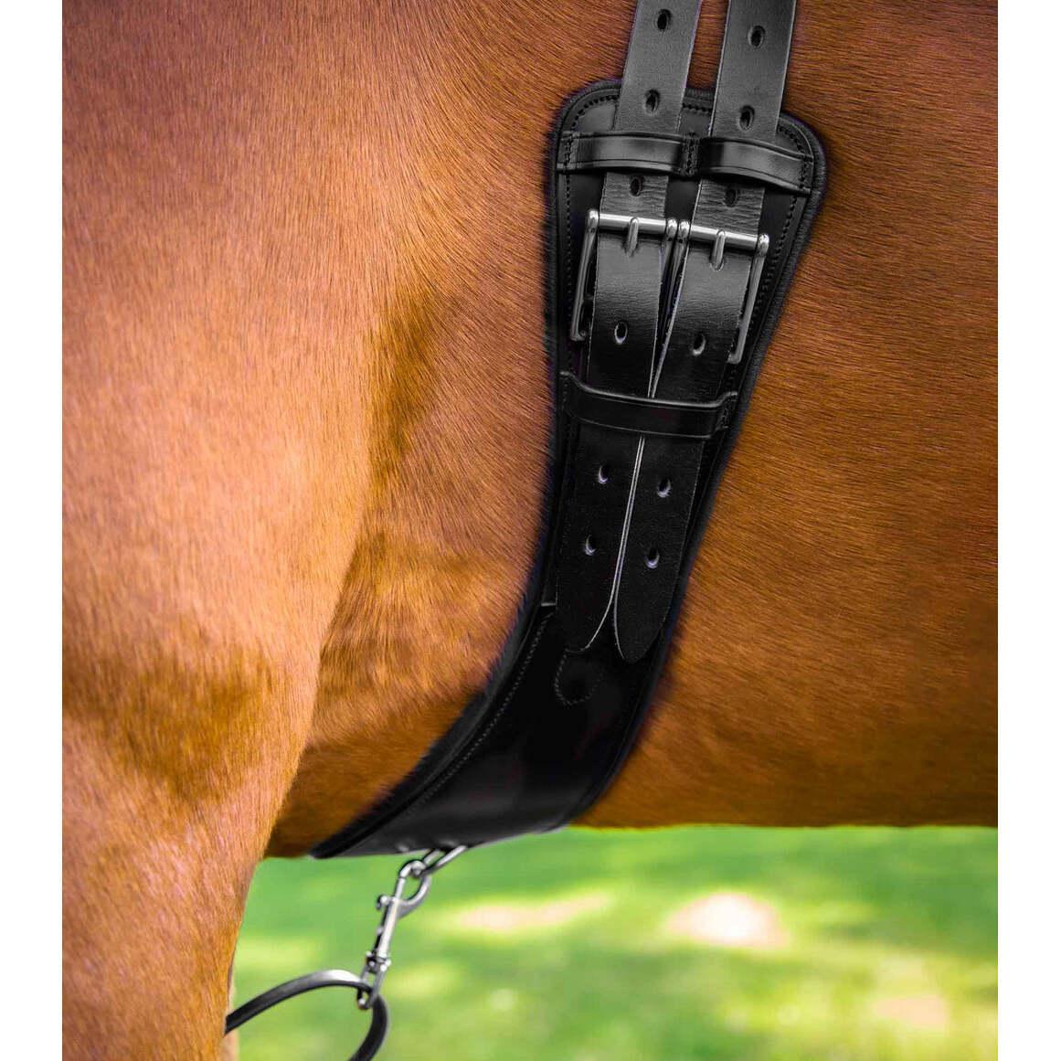 product/p/r/premier-equine_8023-20_black_3.jpg