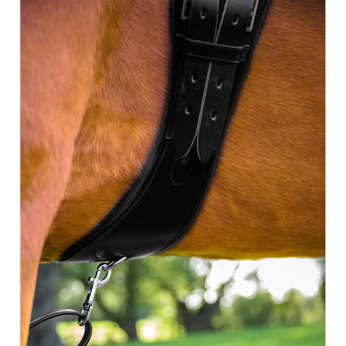 product/p/r/premier-equine_8023-20_black_4.jpg