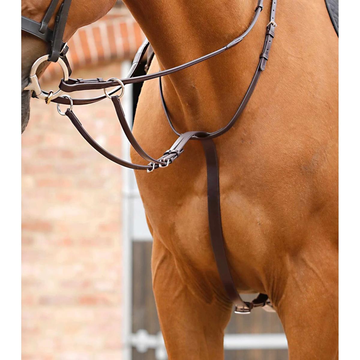 product/p/r/premier-equine_8027-cbrw_2.jpg