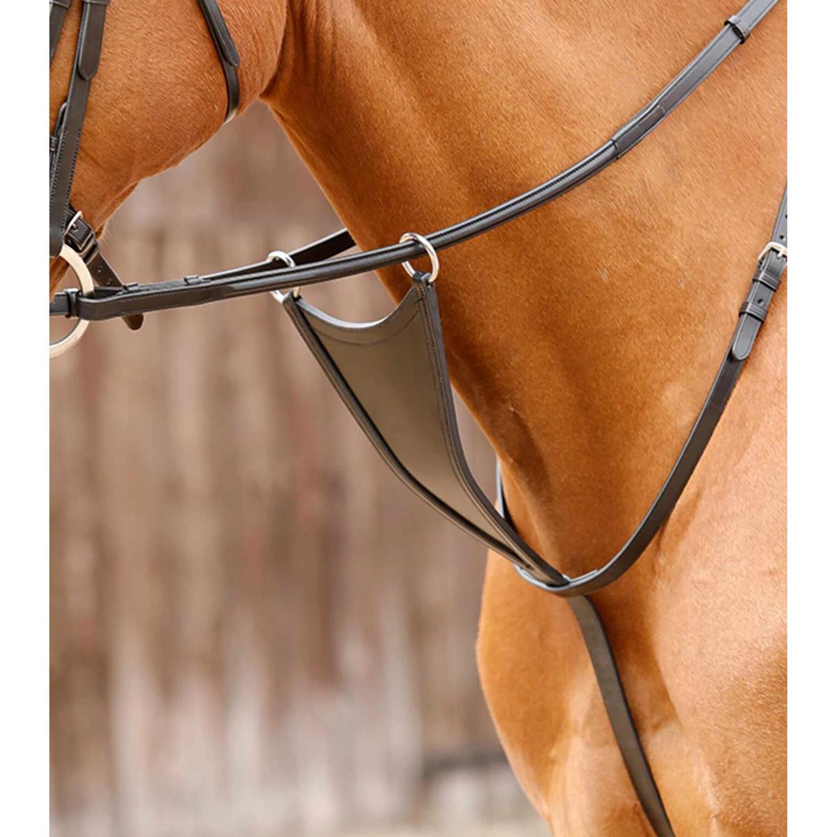 product/p/r/premier-equine_8029-cblk_1.jpg