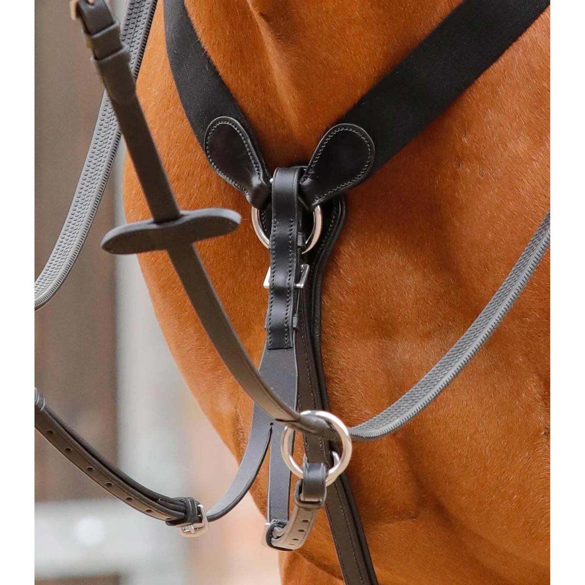 product/p/r/premier-equine_8034-cblk_2.jpg