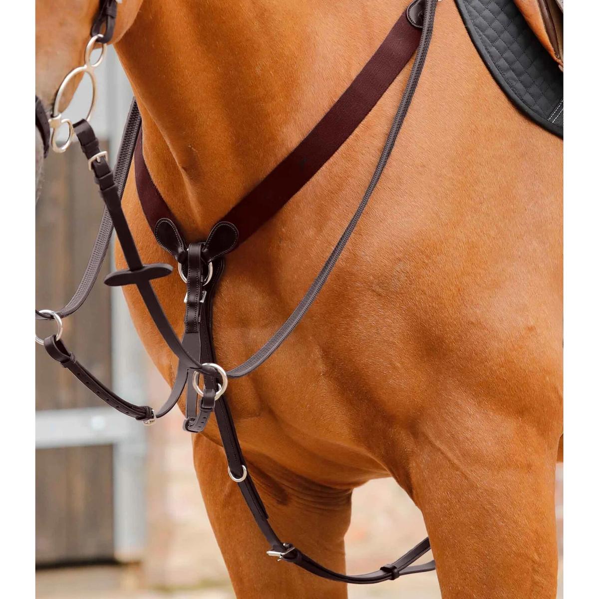product/p/r/premier-equine_8034-cbrw_1.jpg