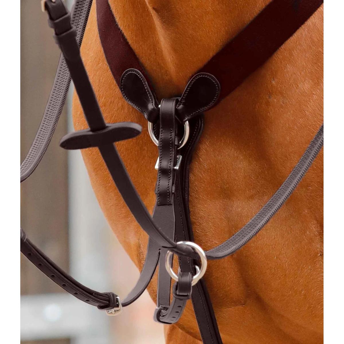 product/p/r/premier-equine_8034-cbrw_2.jpg