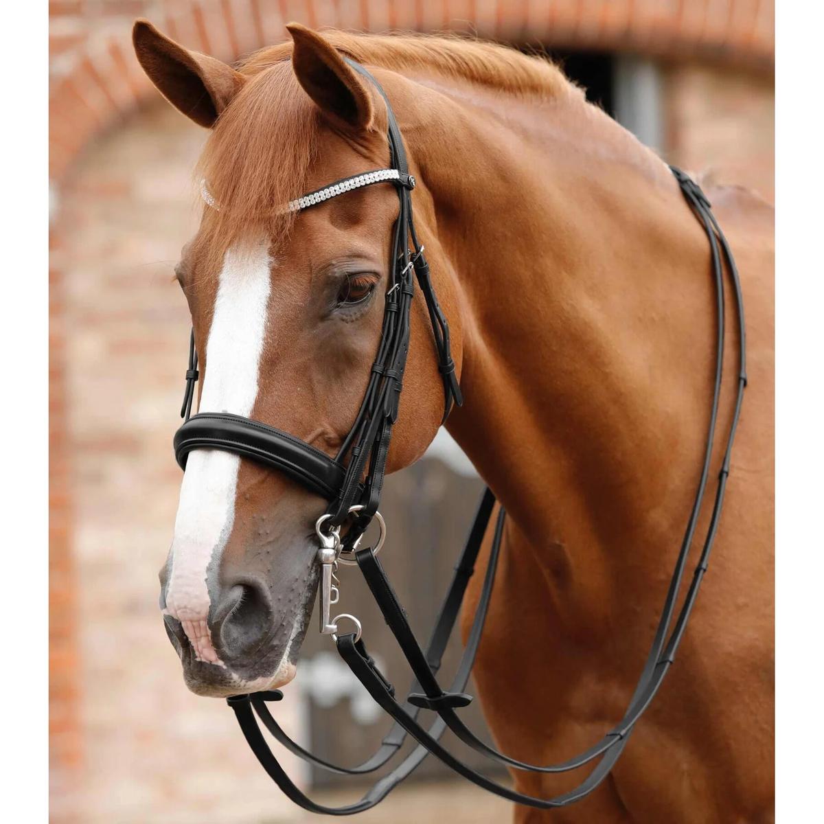 product/p/r/premier-equine_8038_1.jpg