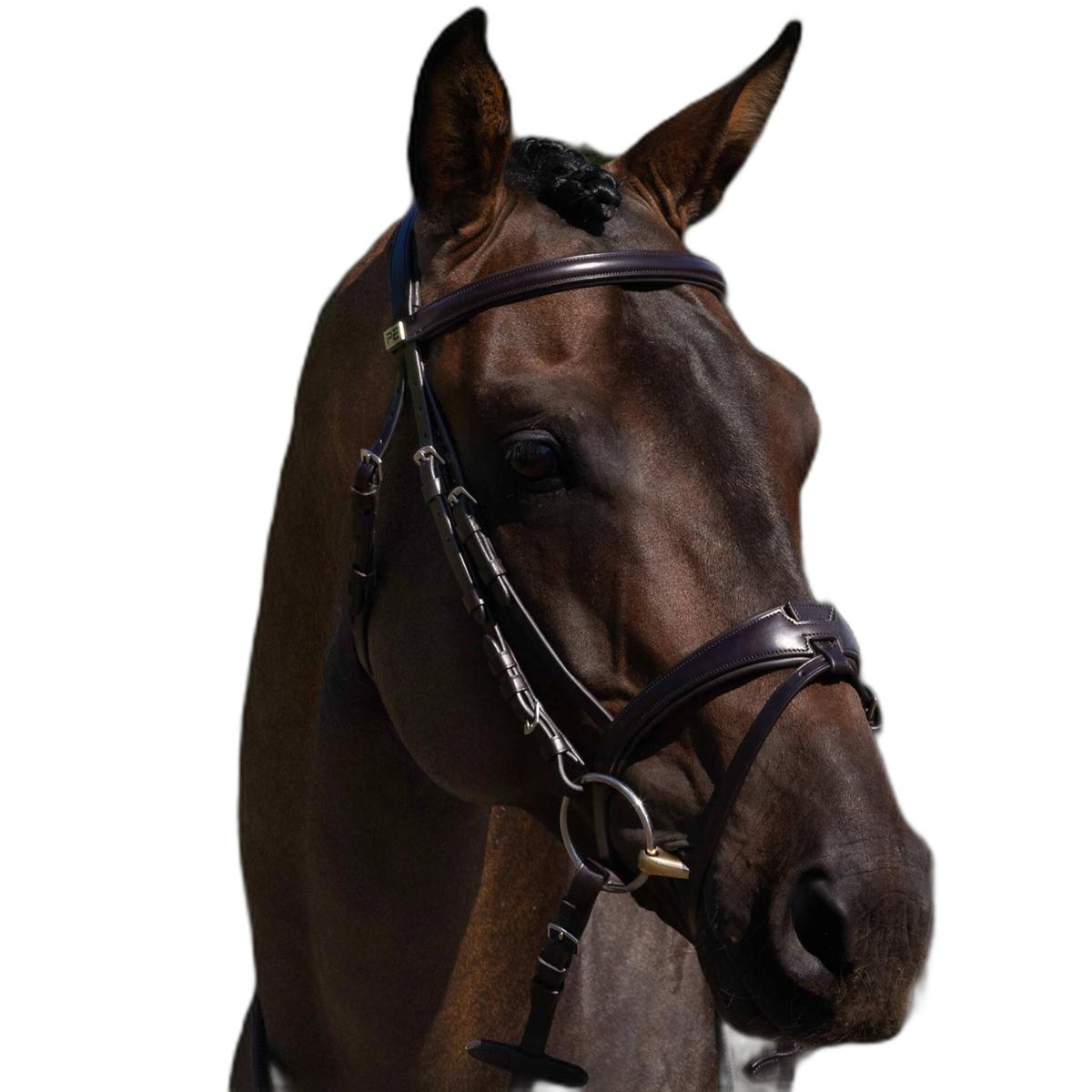 product/p/r/premier-equine_8139cbrw_brown_1.jpg