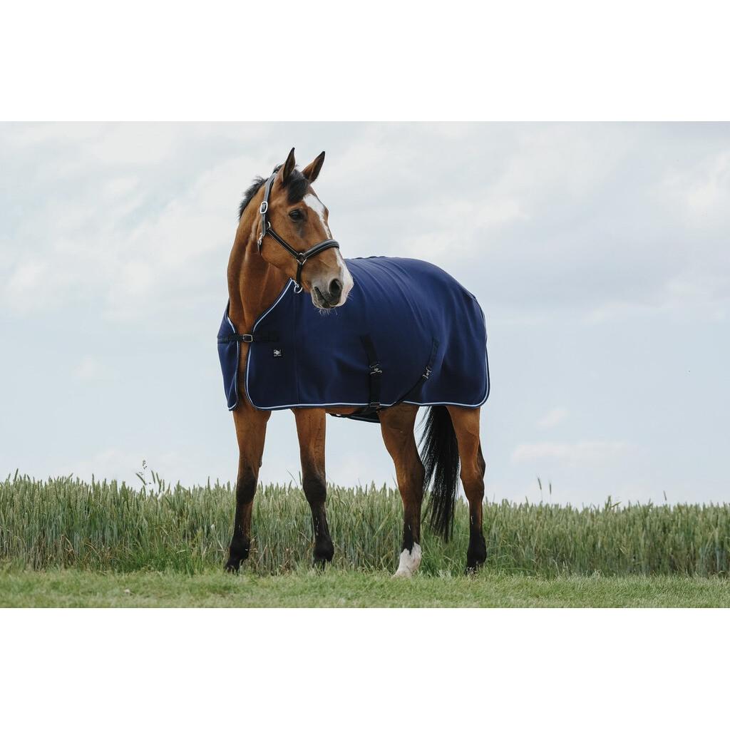 product/r/i/riding-world_400701060_marine_3.jpg