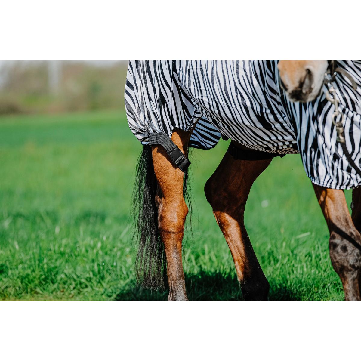product/r/i/riding-world_400708043_zebre_4.jpg