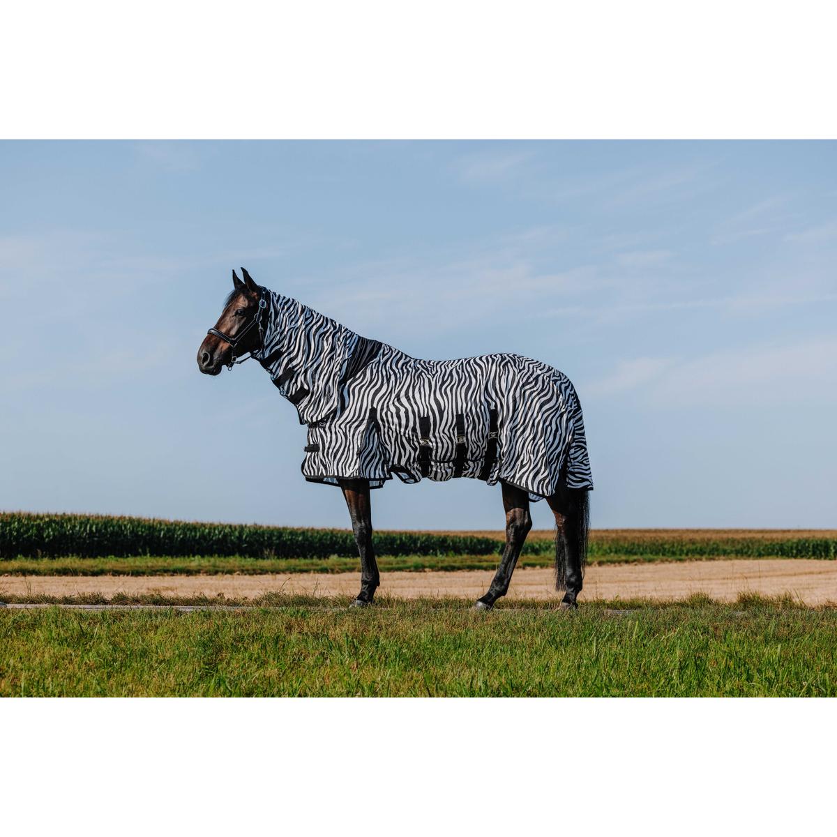 product/r/i/riding-world_400726056_zebre_2.jpg