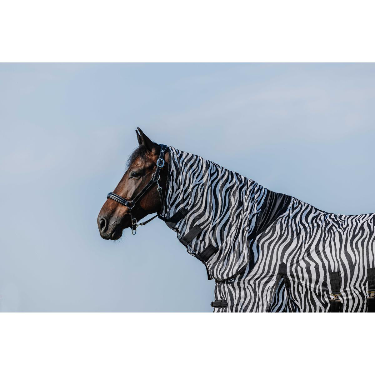 product/r/i/riding-world_400726056_zebre_3.jpg