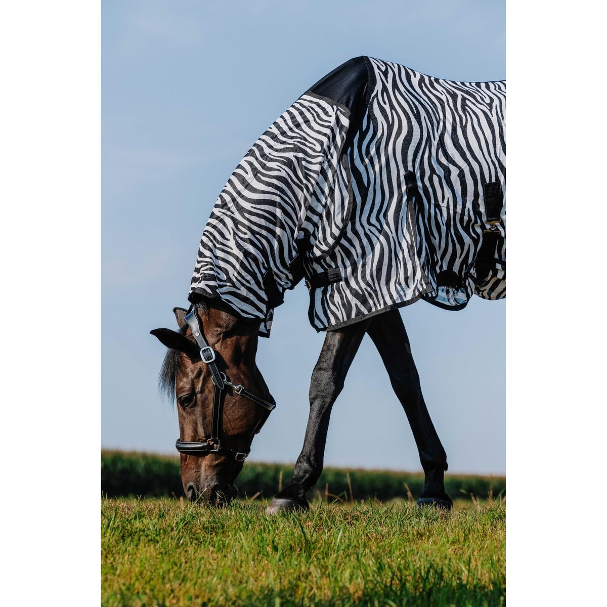 product/r/i/riding-world_400726056_zebre_4.jpg