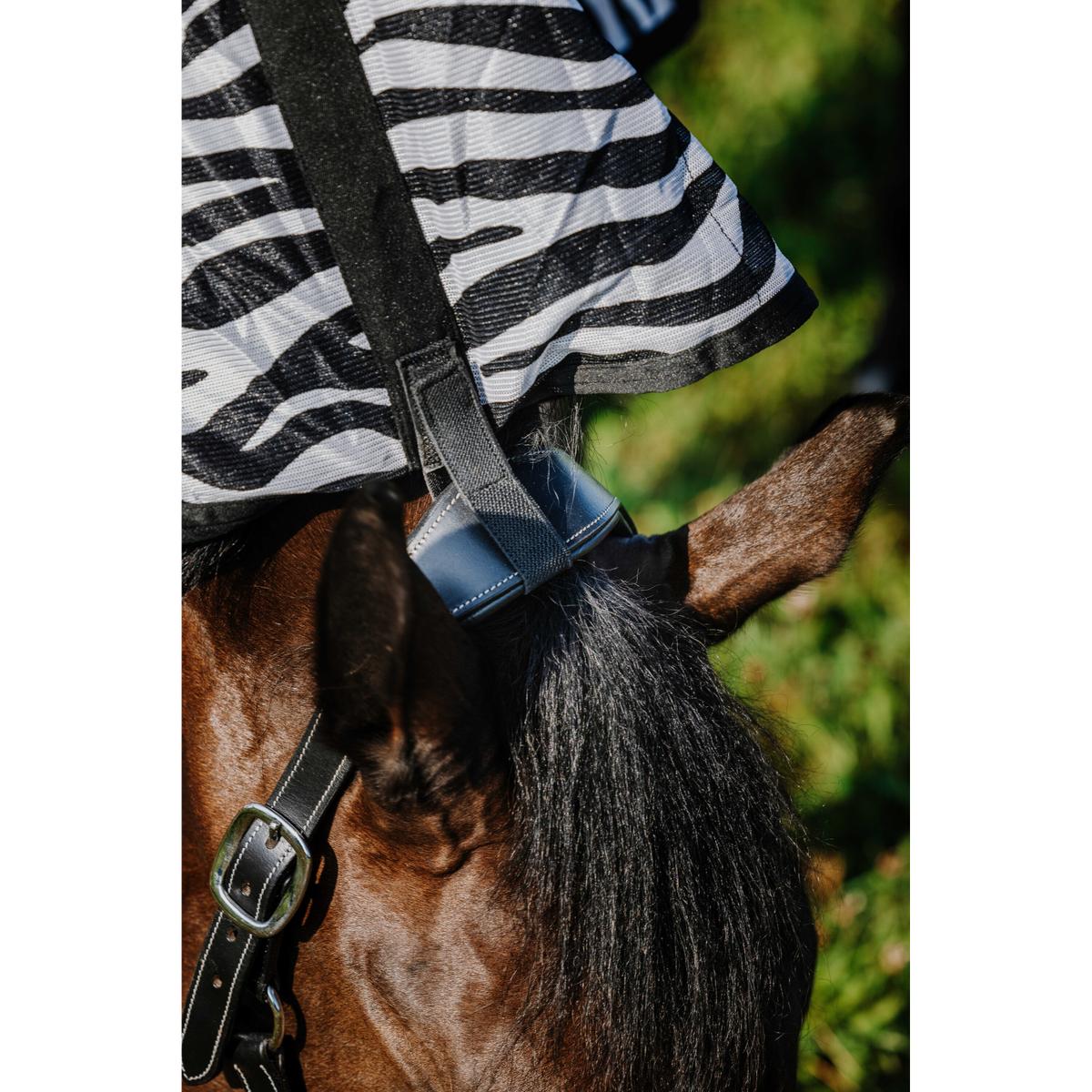 product/r/i/riding-world_400726056_zebre_6.jpg