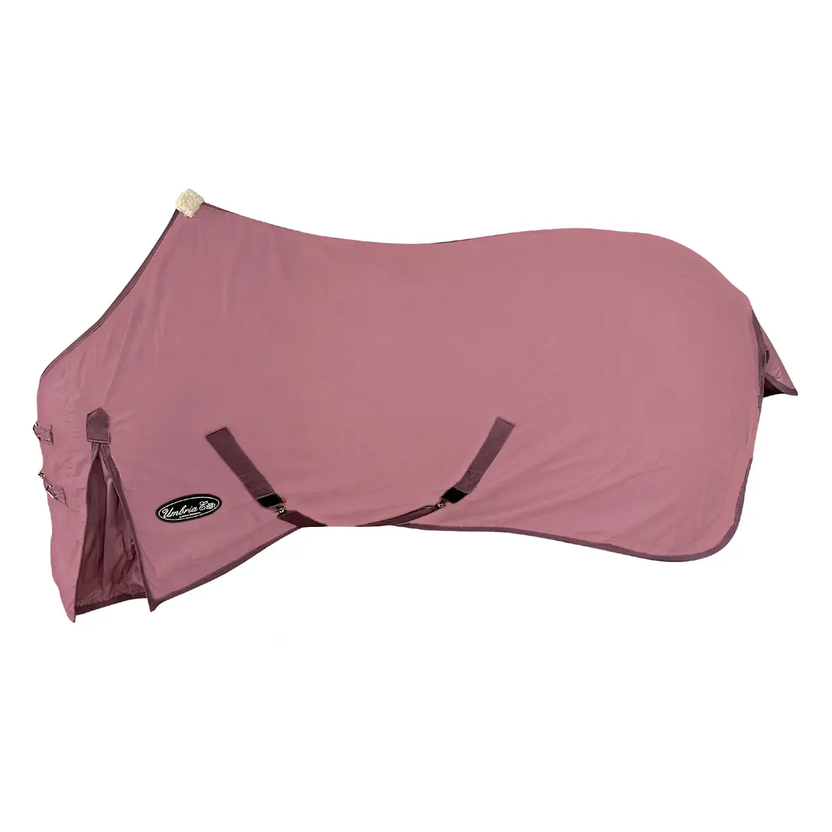 product/u/m/umbria-equitazione_co00010c-fucsia_fuscia_1.jpg