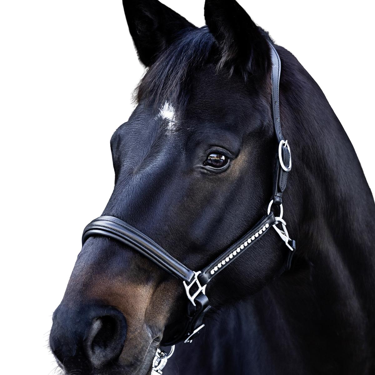 product/u/s/usg-15000012-204-400-black-silver-coloured-1.jpg