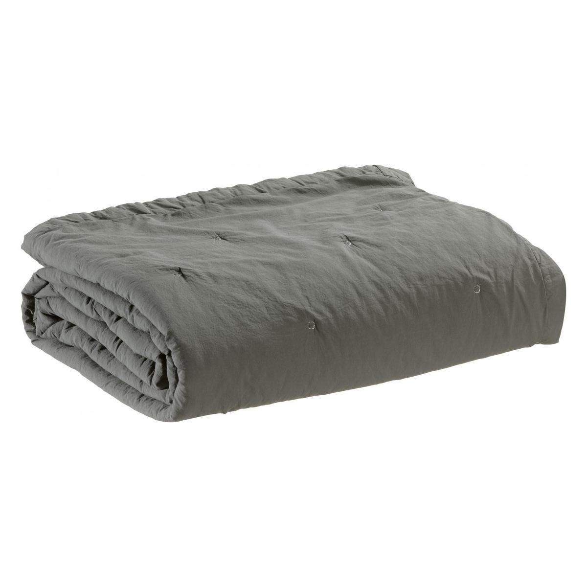 product/v/i/vivaraise_1849080000_0.jpg