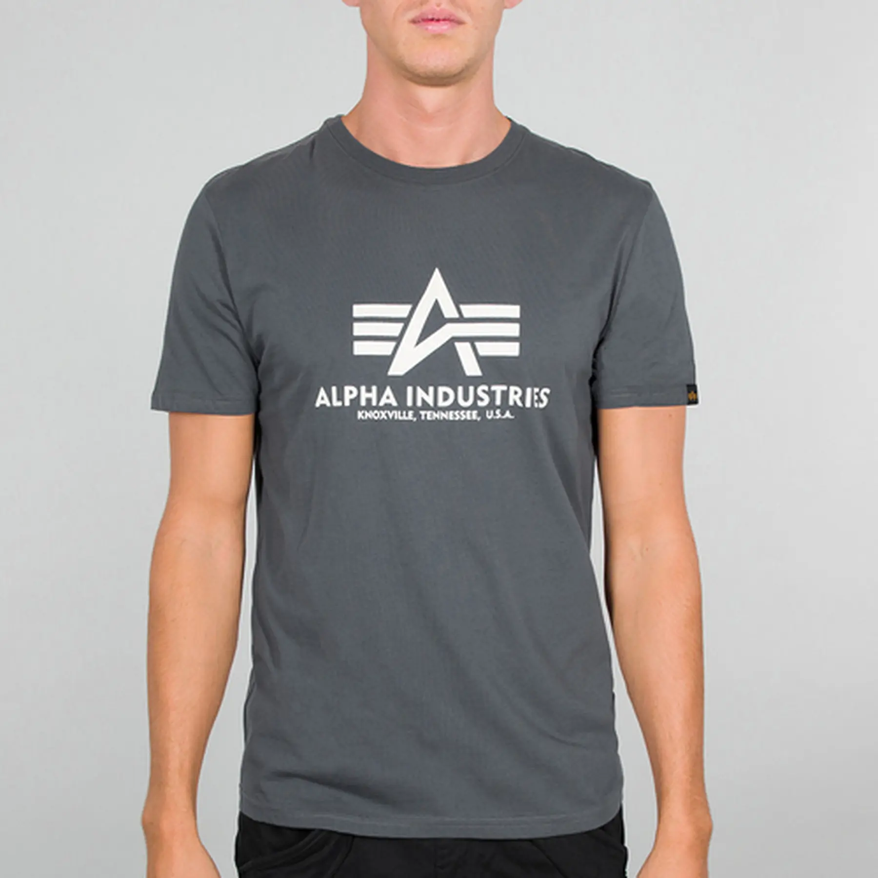 4260423629912 - T-shirt Alpha Industries Basic