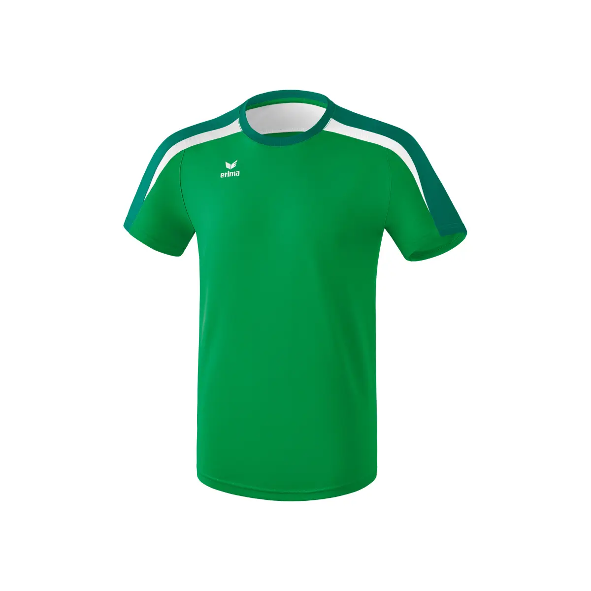 Erima Funktions Teamsport T-Shirt (2082401) Unisex - Bambini e Ragazzi, Slate Grey, 116