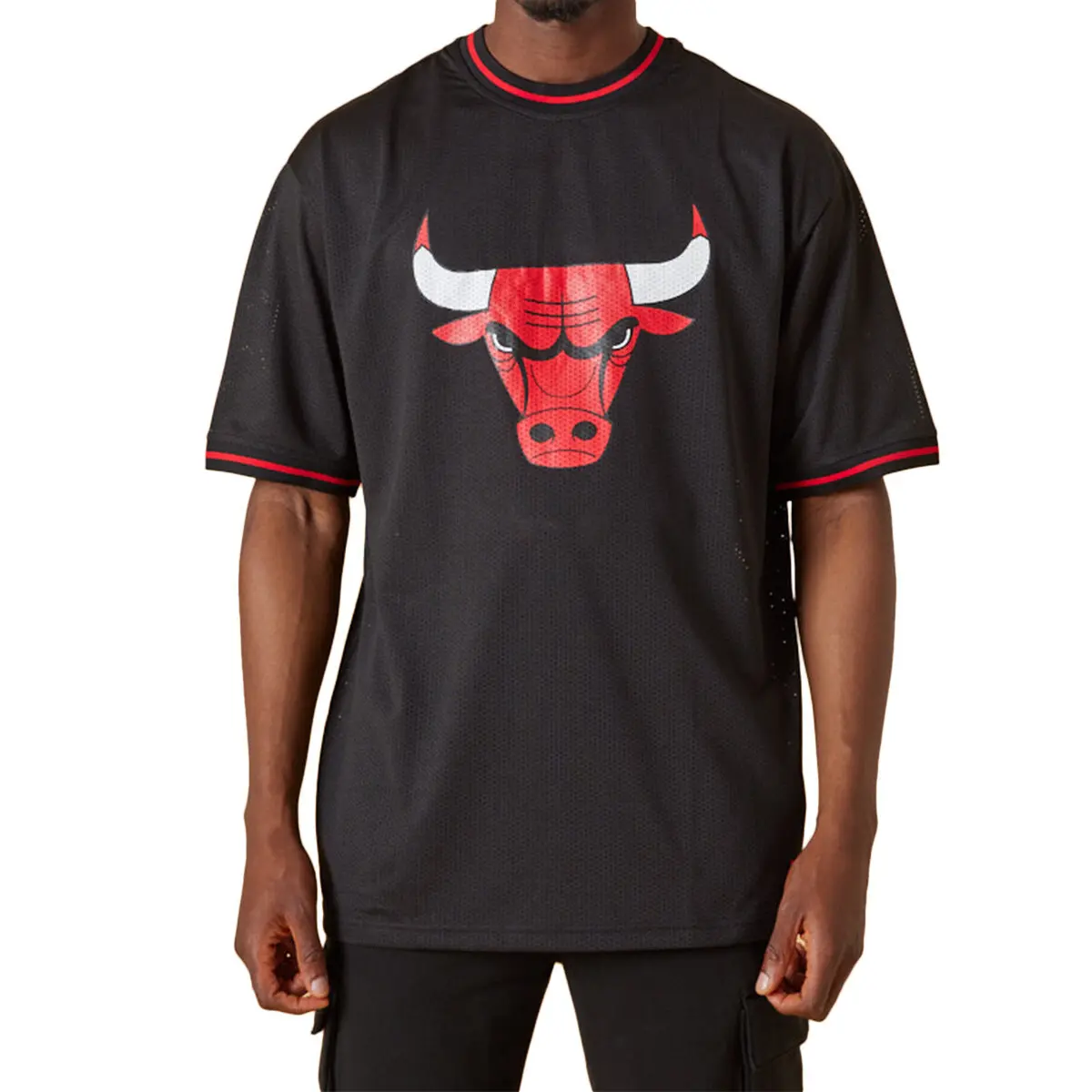 0196313102446 - Kurzarm-T-Shirt Chicago Bulls Mesh Logo