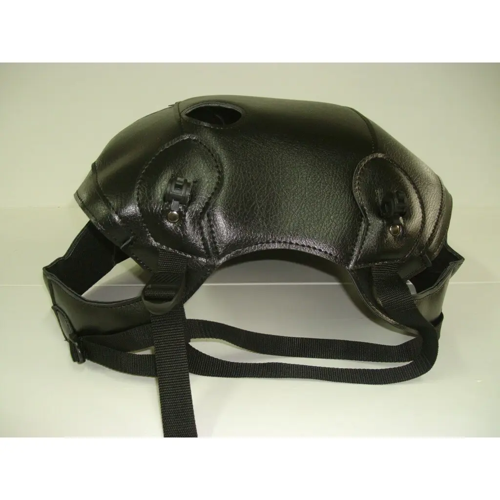 Tankschutz Motorrad Bagster adventurer 900