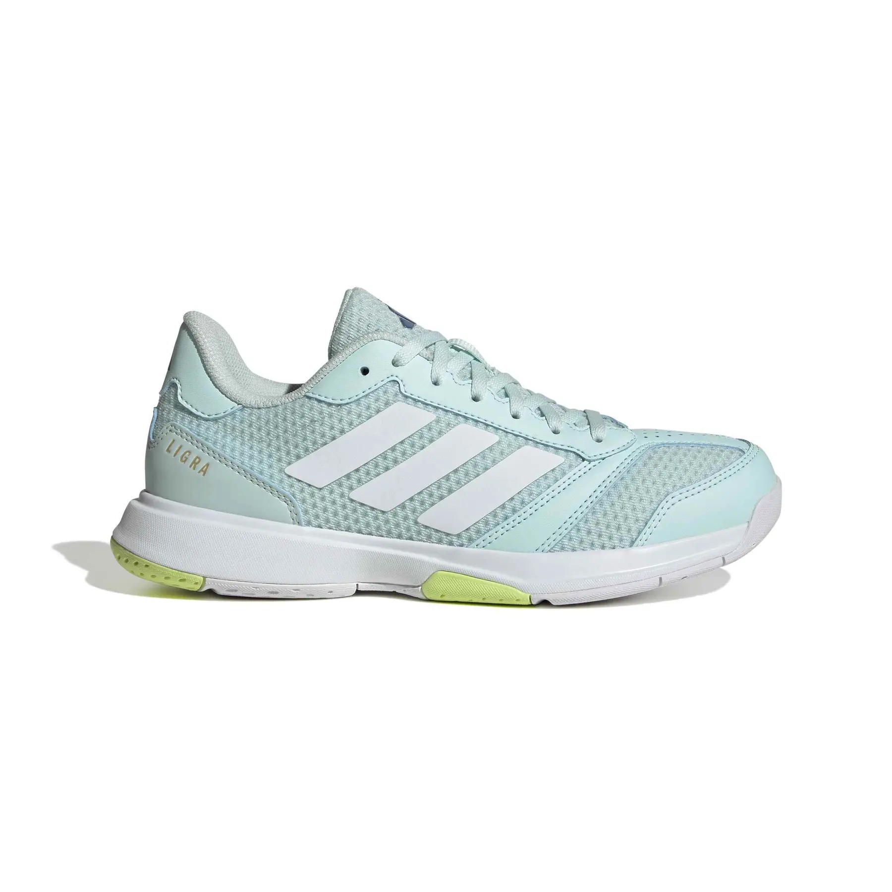 Hallenschuhe Damen adidas Ligra 8