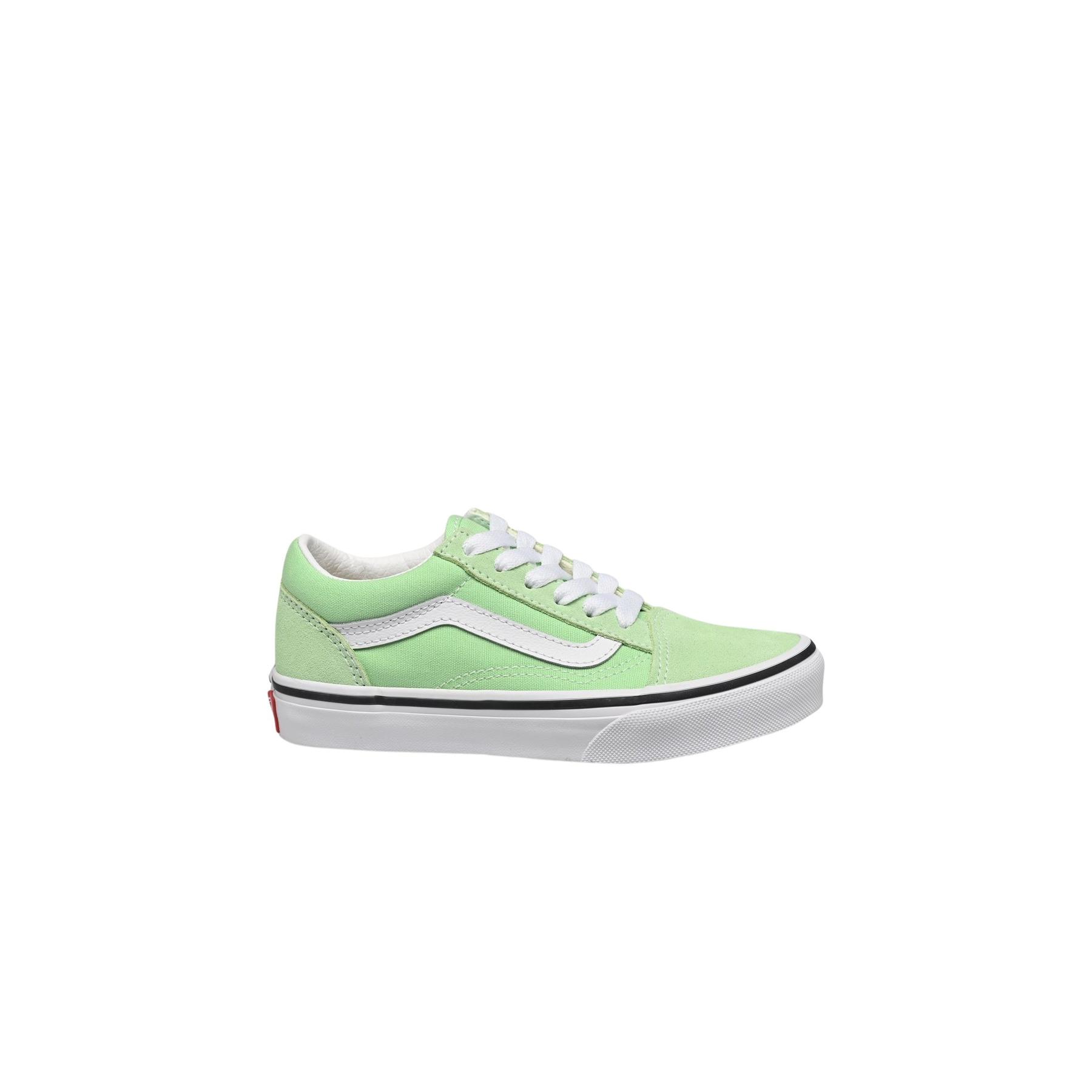 0197643260141 - Sneakers Old Skool