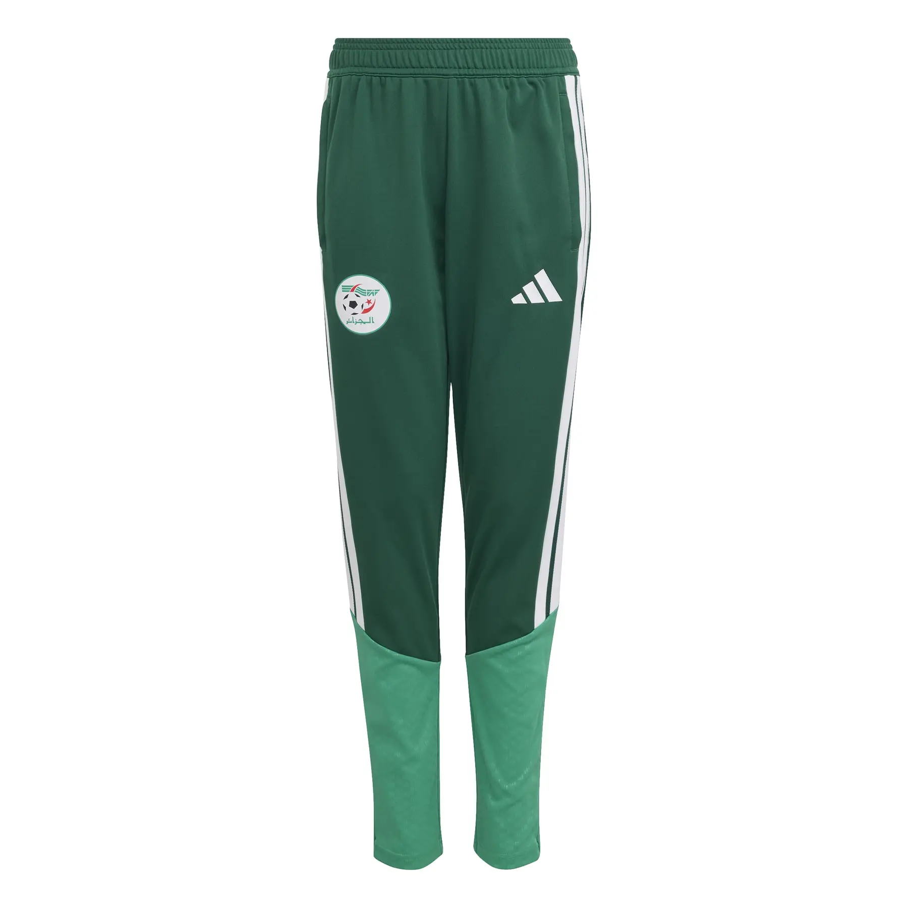 Trainingshose Kinder Algerien Coupe du Monde 2026 - Vert - unisex - Size: 11/12 ans