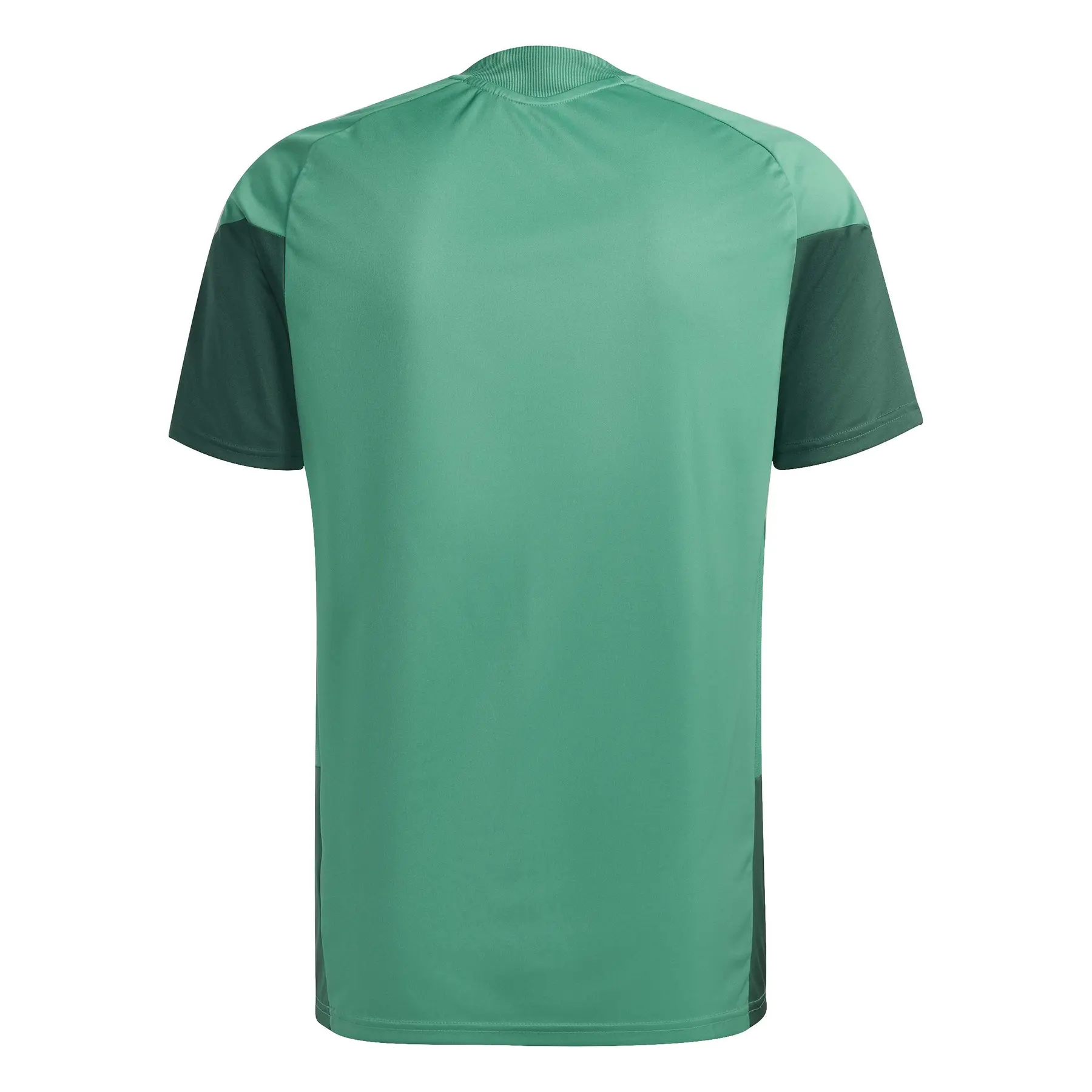Algeria training jersey Coupe du Monde 2026 | Foot-Store
