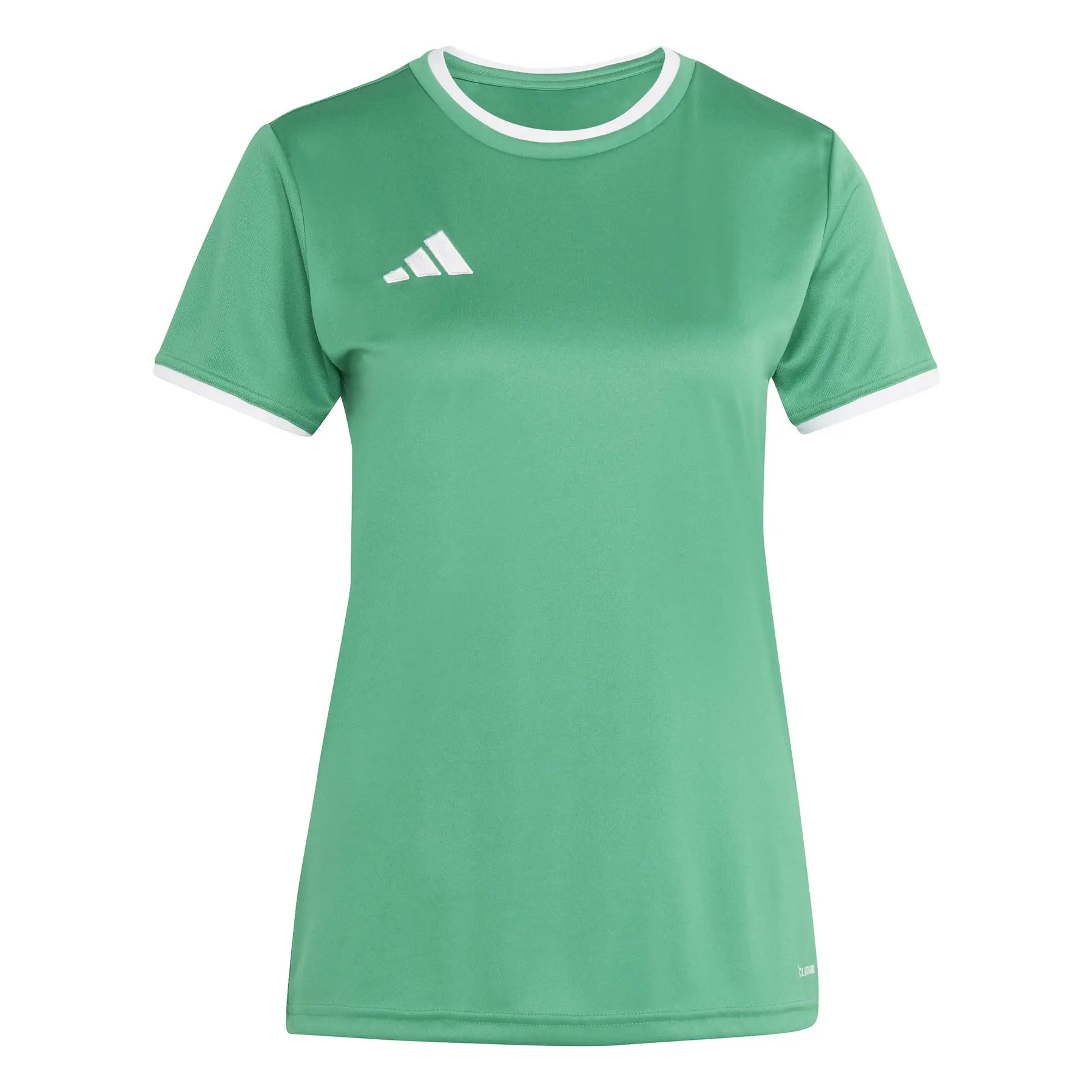 Trikot Damen Entrada26 - Vert - female - Size: XS
