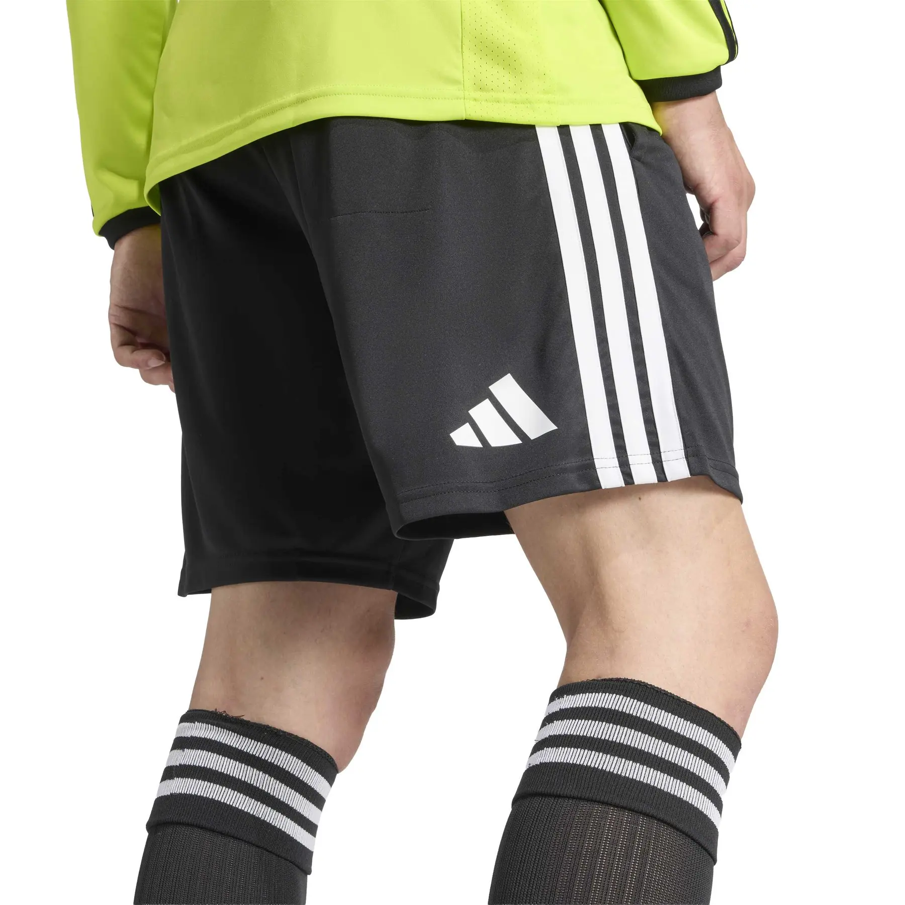 Short referee adidas 2026 | Handball-Store