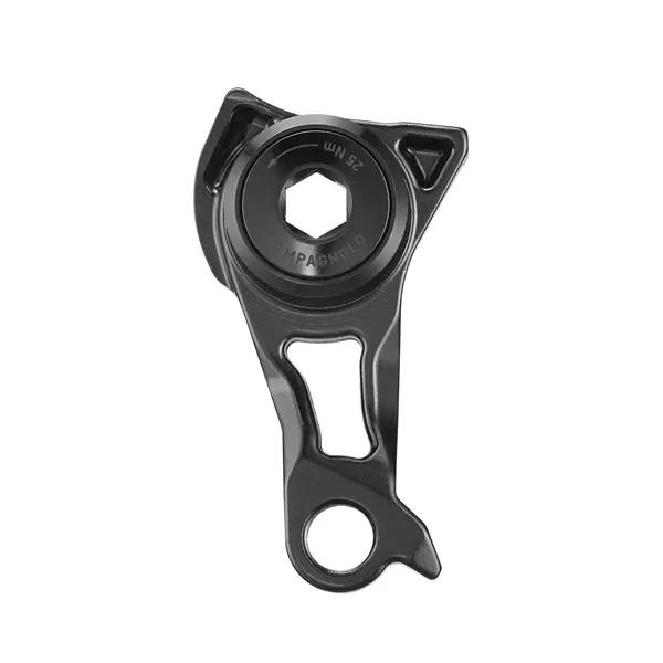 Ausfallende des Schaltwerks Campagnolo UDH Mount 13