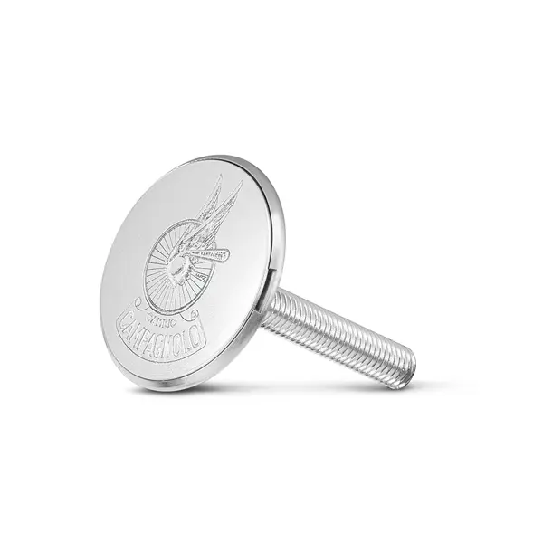 Image of Steuersatzdeckel Campagnolo Logo Roue Ailee