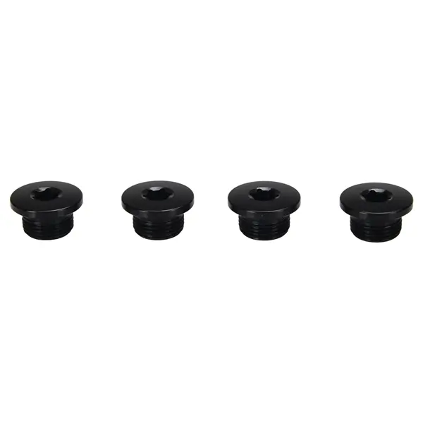 Image of Schrauben der Tabletts Campagnolo Ekar (x4)