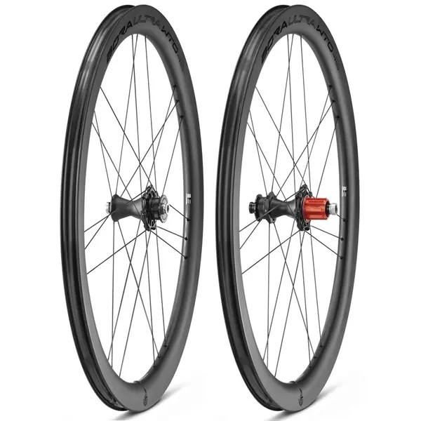Image of Rad Campagnolo Bora WTO