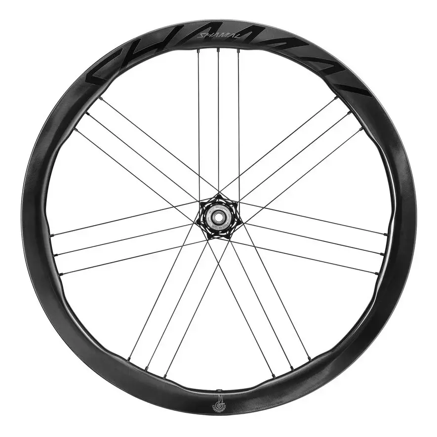 Image of Vorderrad Campagnolo Shamal Dual