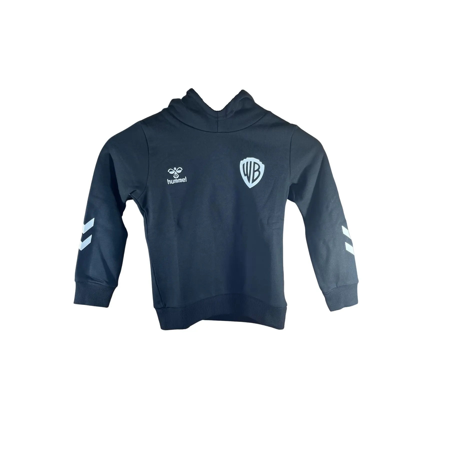 Kinder-Hoodie Hummel Celebrating Story