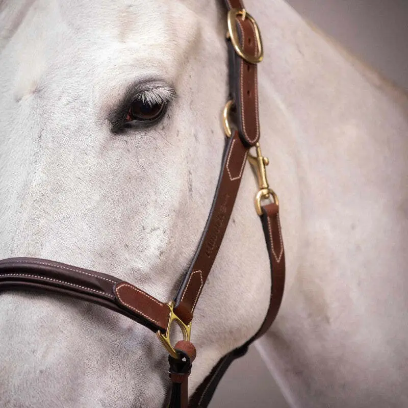 Licol pour cheval en cuir Paddock Sports