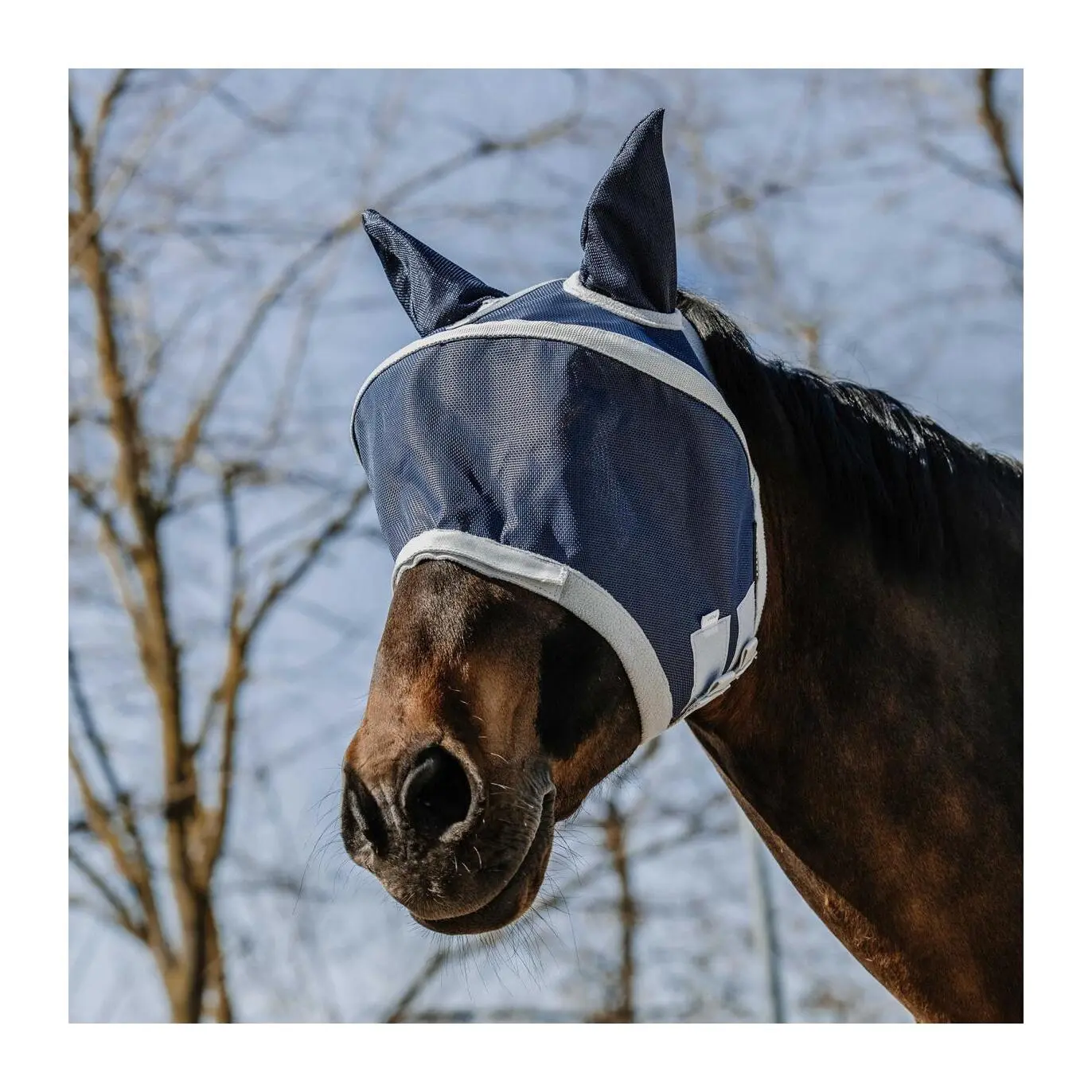 Comparer les prix de Masque anti-mouches pour cheval Equithème Cerceau