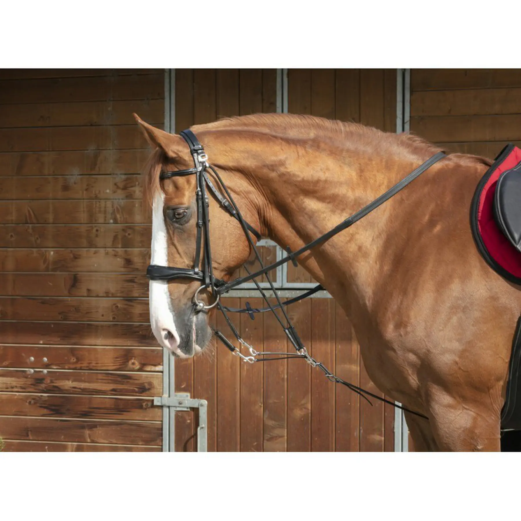 Norton Pro Noir Gogue For Horse