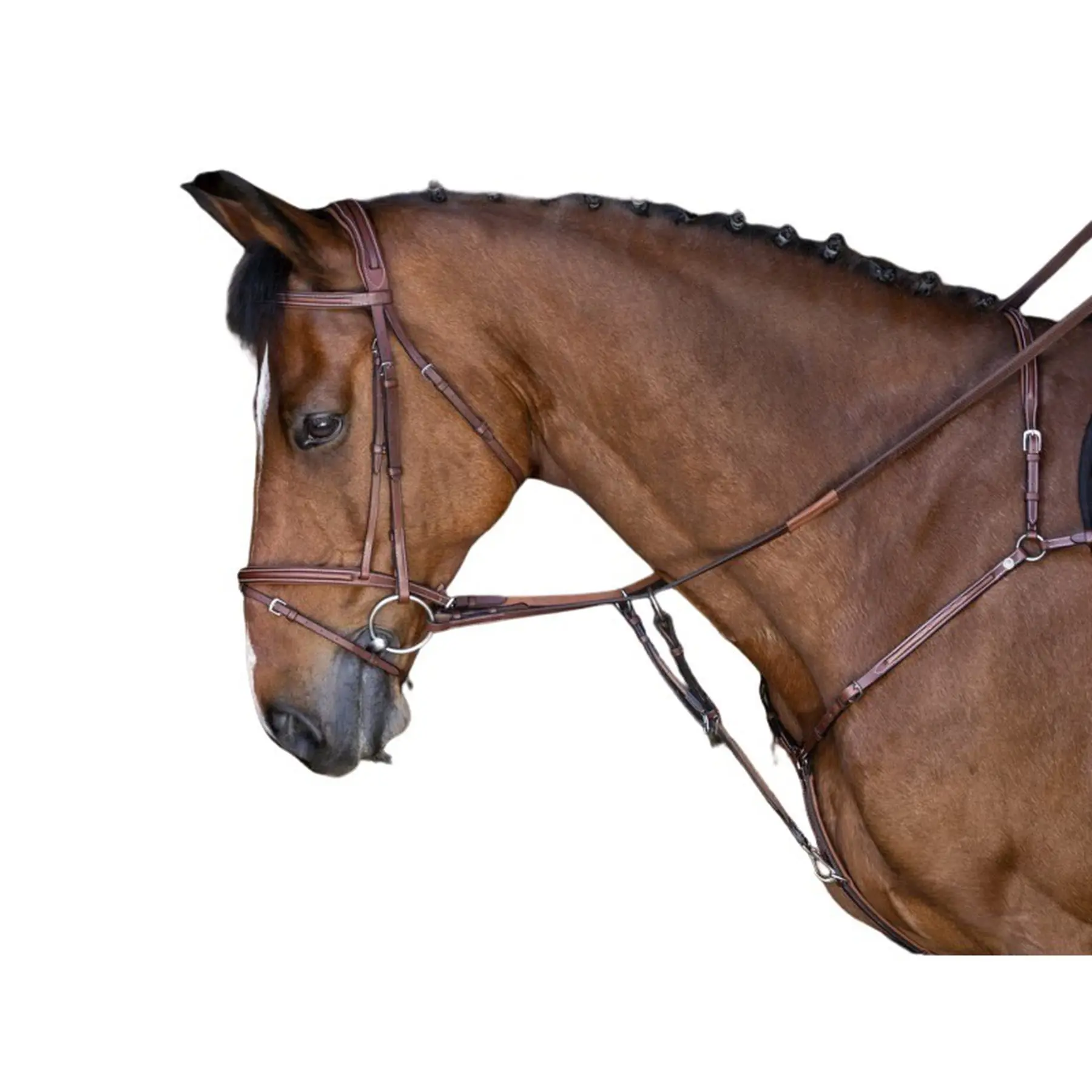Eric Thomas Marron Hunting Collar For Horse Hybrid