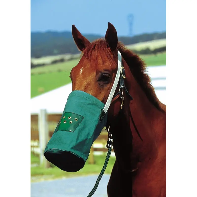 Comparer les prix de Masque musette canvas Hippotonic