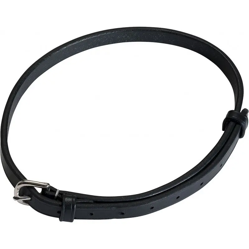 Comparer les prix de Lanière pour muserolle combinée ERIC THOMAS PRO