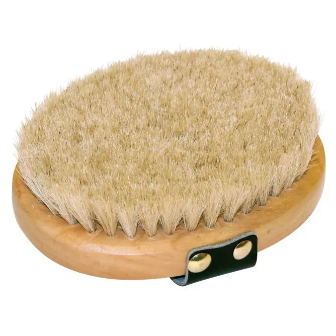 Meilleurs prix pour Brosse lustrante Kerbl Brush&Co