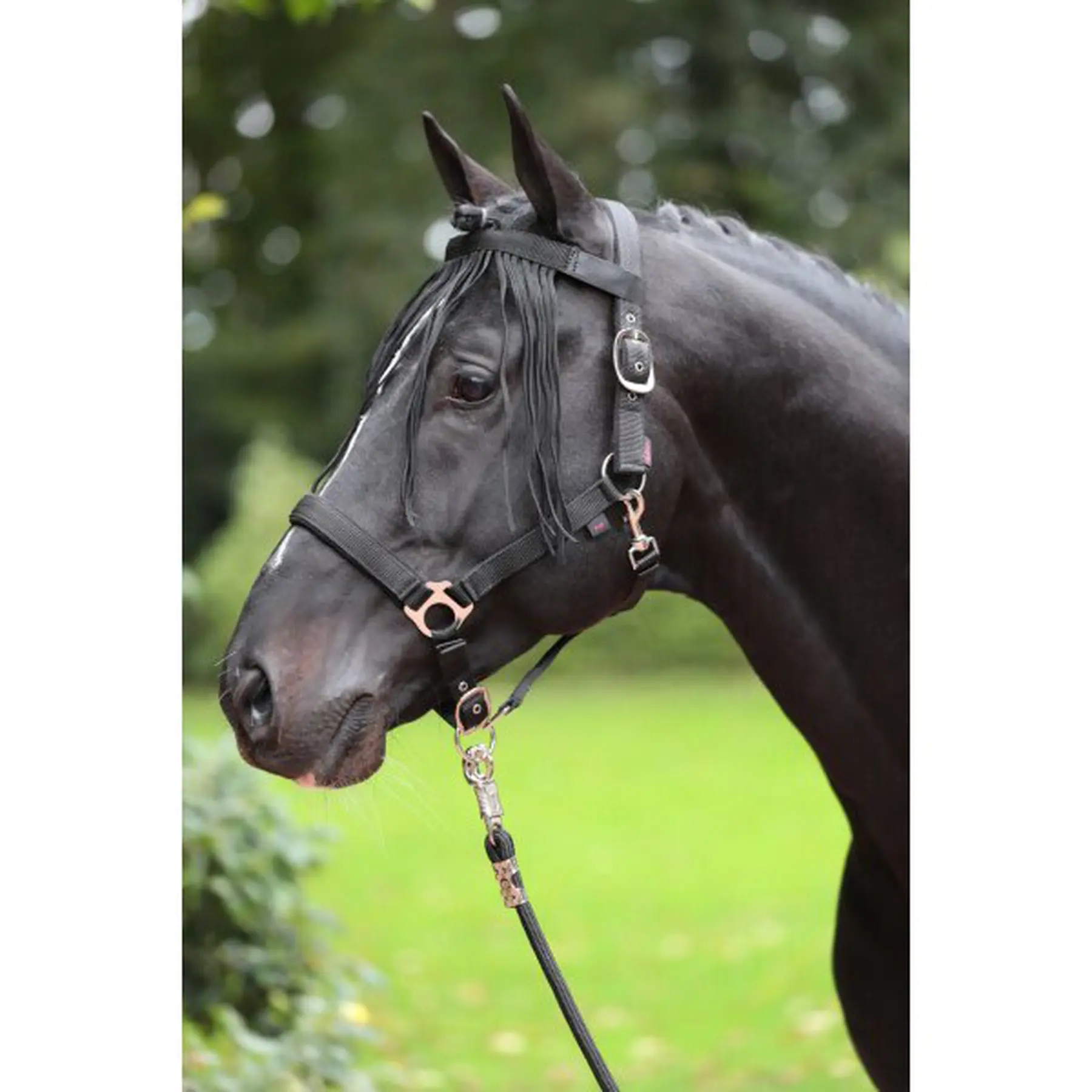 Kerbl Noir Anti-Fly Front
