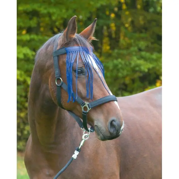 Meilleurs prix pour Frontal anti-mouche Kerbl