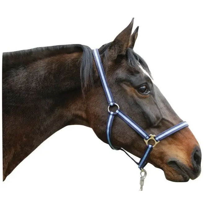 Kerbl Bleu Nylon Halter Pony Hippo